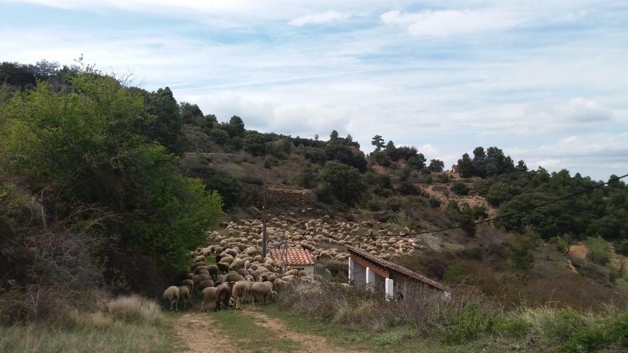Vila Casa Rita Morella Exteriér fotografie